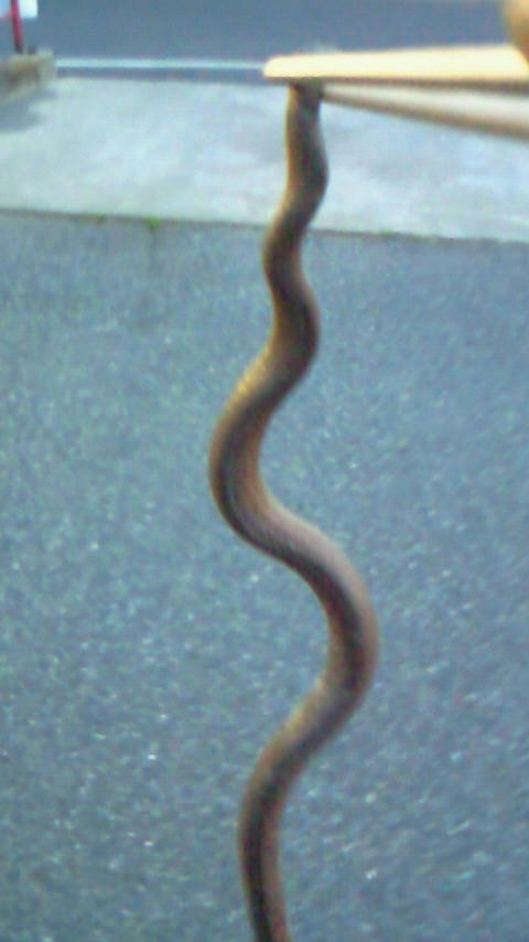 201005061841000.jpg