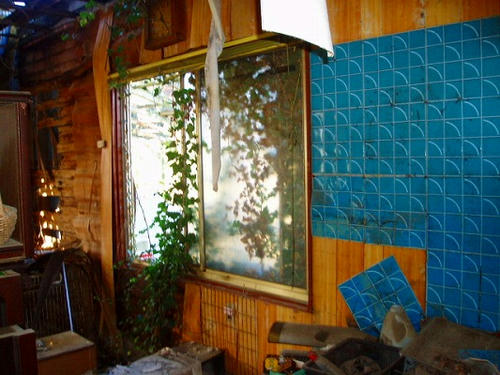P1011446.jpg