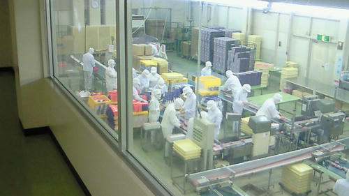 201001051040006.jpg