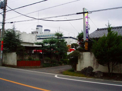 P1010489.jpg