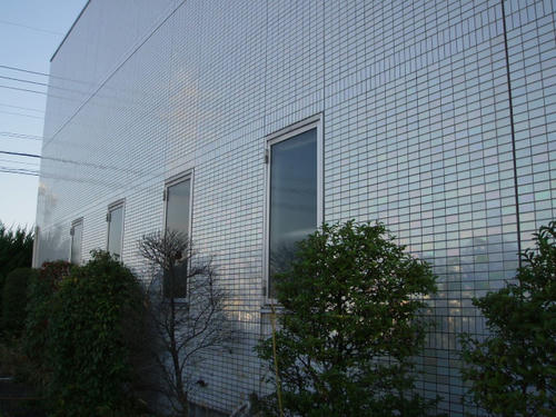 P1010332.JPG