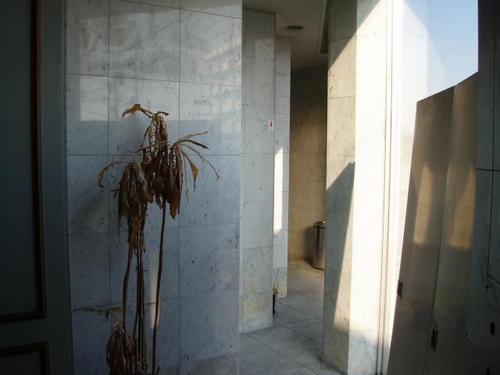 P1010136.JPG