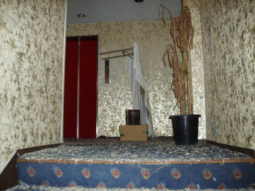P1010272.JPG