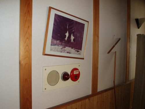 P1010292.JPG