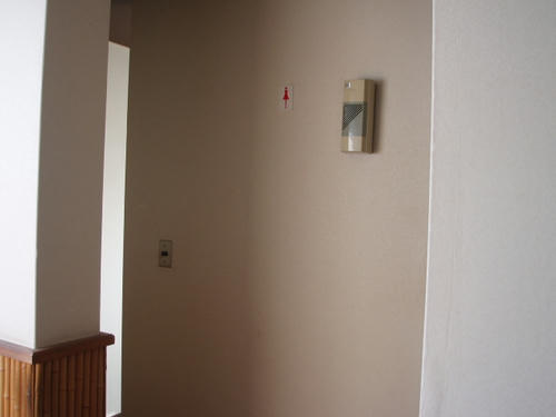 P1010293.JPG