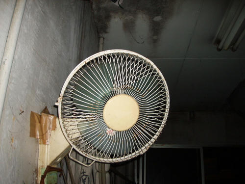 P1010216.JPG