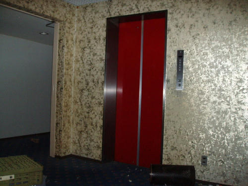 P1010231.JPG