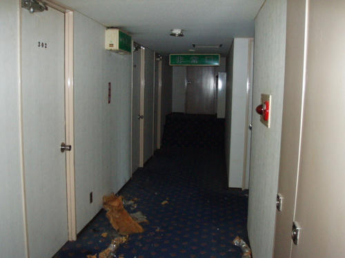 P1010235.JPG