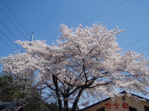 P1010600.JPG