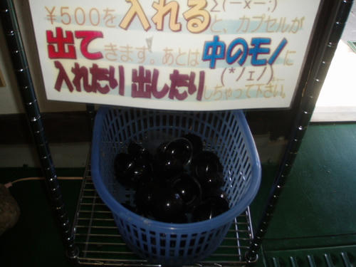 P1010583.JPG