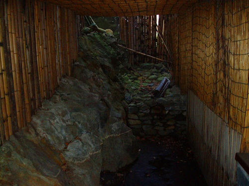 P1012562.jpg