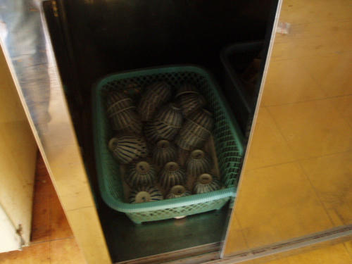 P1012603.JPG