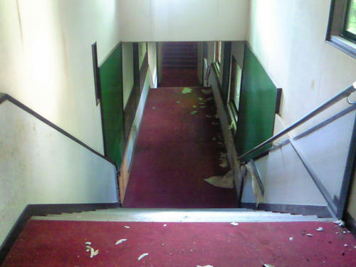 NEC_0421.JPG