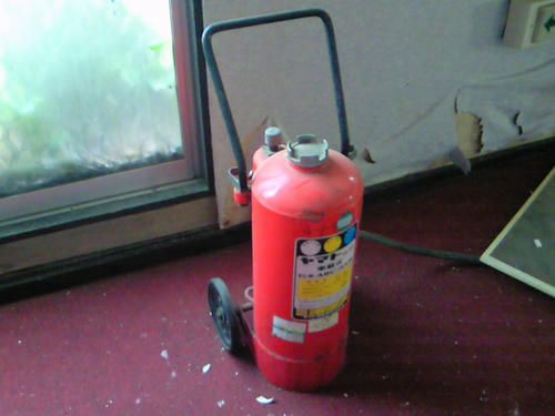 NEC_0423.JPG