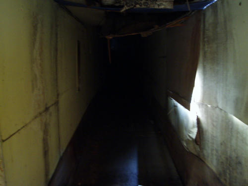 P1012344.JPG