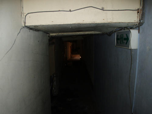 P1012348.JPG