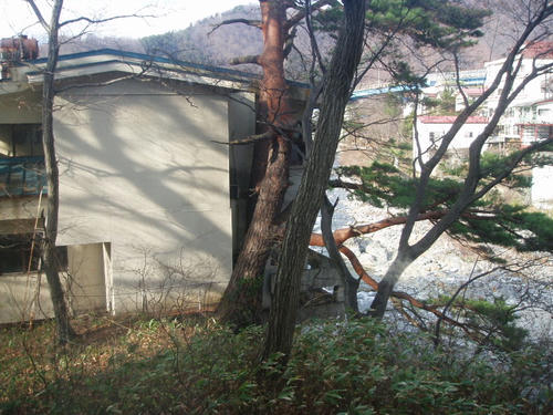 P1012443.JPG
