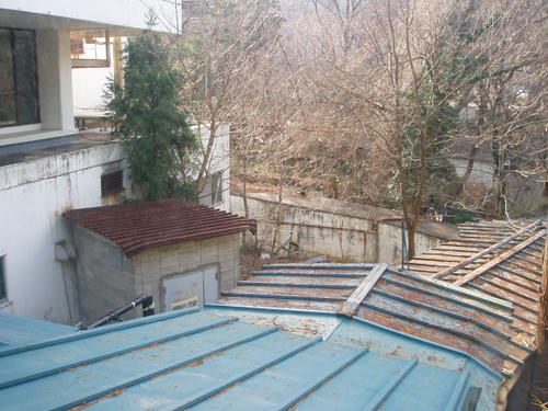 P1012463.JPG