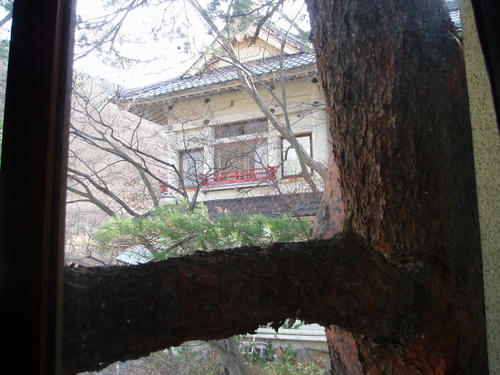 P1012405.JPG