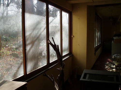P1012417.JPG