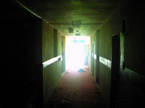 NEC_0380.JPG