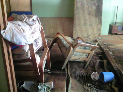NEC_0393.JPG