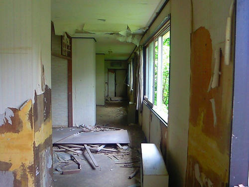 NEC_0345.jpg