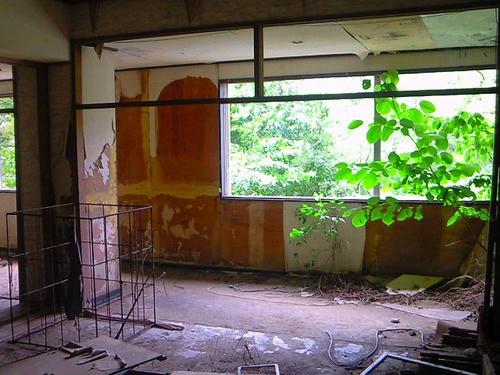 NEC_0347.jpg