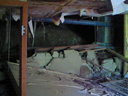NEC_0353.jpg