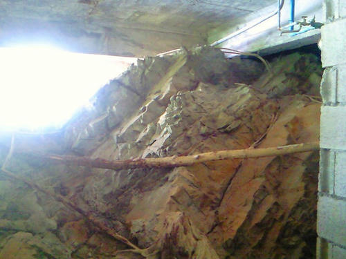 NEC_0355.jpg
