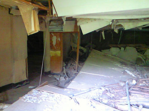 NEC_0357.jpg