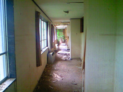 NEC_0334.jpg