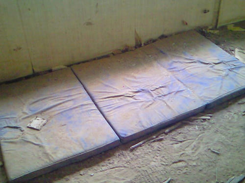 NEC_0335.jpg