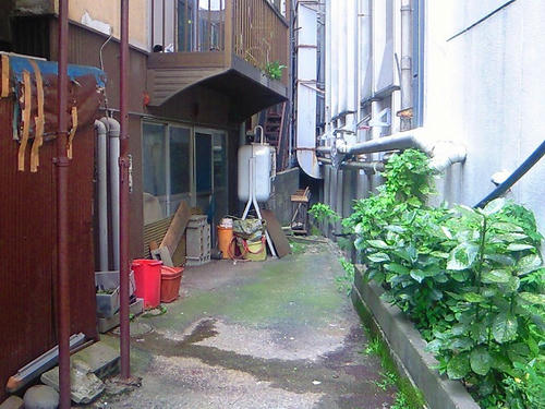 NEC_0321.jpg