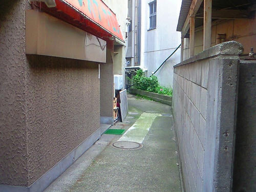 NEC_0322.jpg