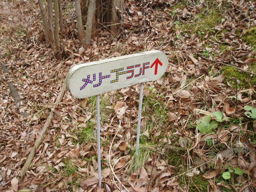 P1011044.JPG