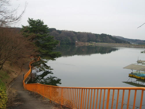 P1011054.JPG