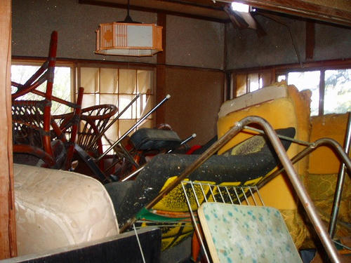 P1010846.jpg