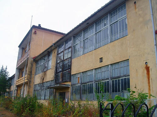 P1011034.jpg