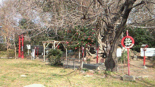 201001291115000.jpg