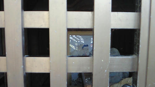 201001291118000.jpg