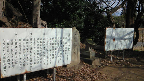 201001291119002.jpg