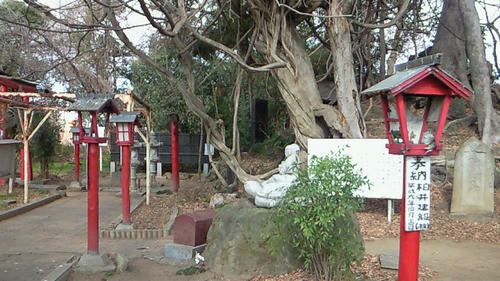 201001291119003.jpg