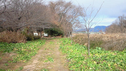 201001291120000.jpg
