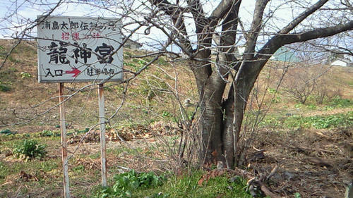 201001291120001.jpg