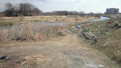 201001291122001.jpg