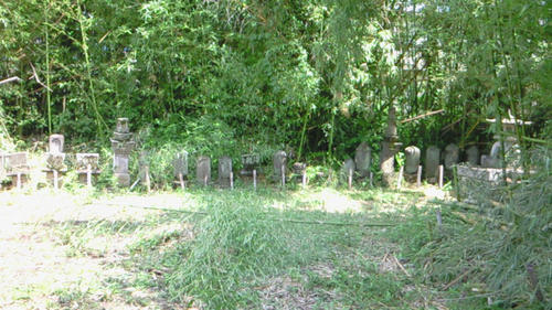 201008051033000.jpg
