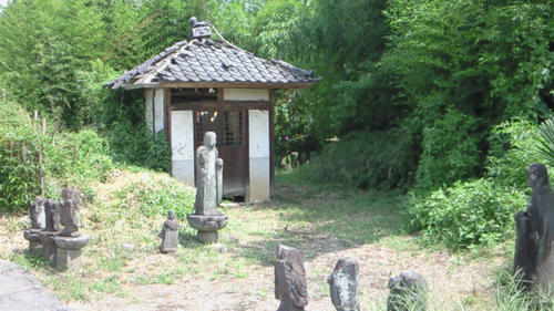 201008051034001.jpg