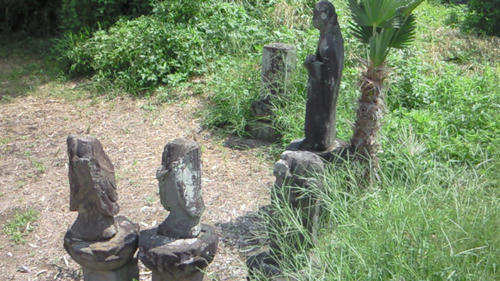 201008051034002.jpg