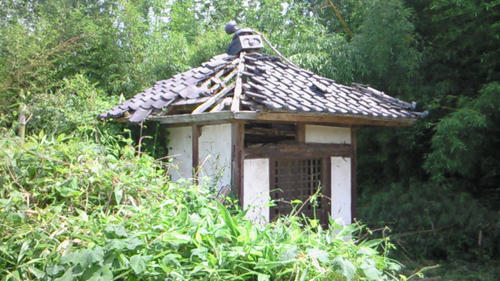 201008051034004.jpg